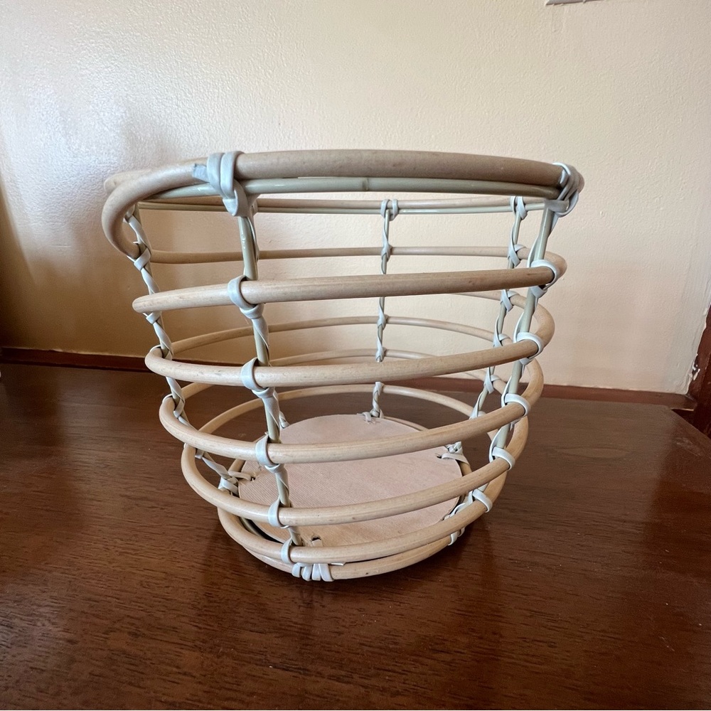 NEW! 🎯 Bullseye’s Playground Plant Holder